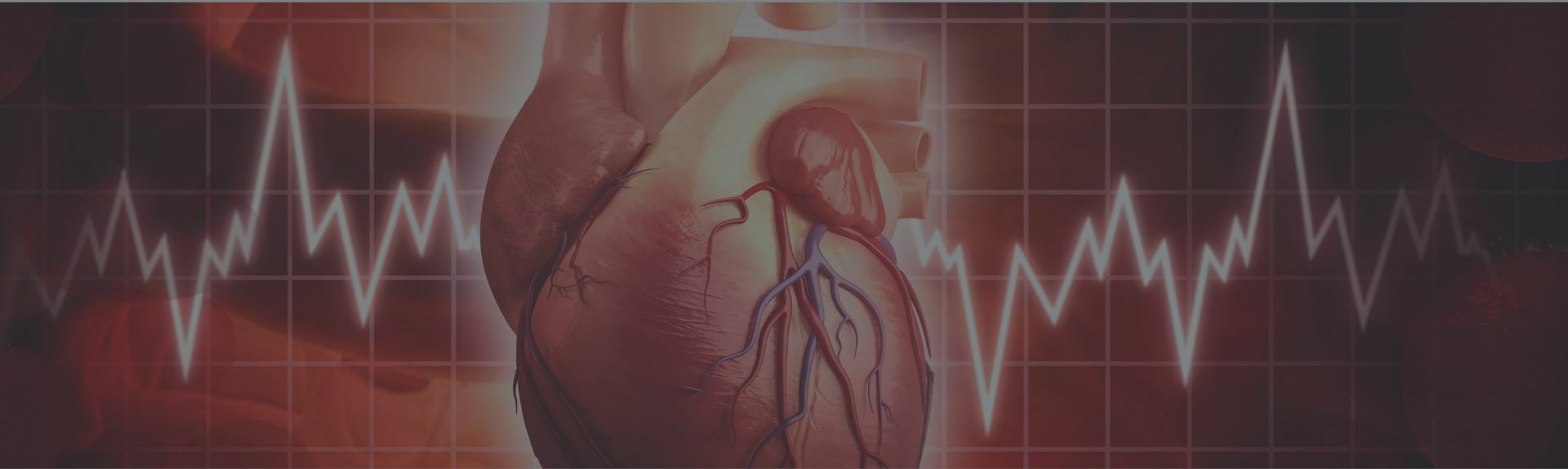 Corso Emergenze Cardiologiche e lettura ECG con casi clinici 